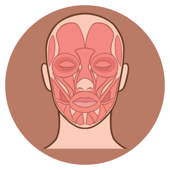 Terapia Miofuncional